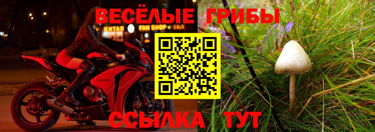 Печора  Cocaine  Меф кристаллы  Экстази  Вход с VPN  Каннабис 
